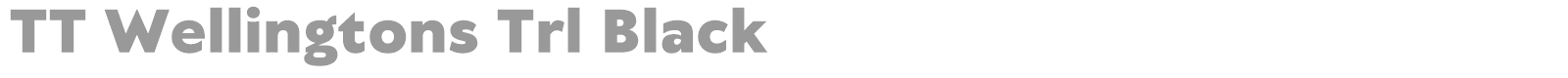 TT Wellingtons font preview